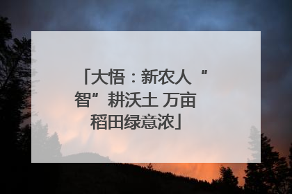 大悟：新农人“智”耕沃土 万亩稻田绿意浓
