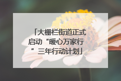 大栅栏街道正式启动“暖心万家行”三年行动计划