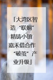 大湾区智造“联姻”精铸小镇 嘉禾借合作“破茧”产业升级