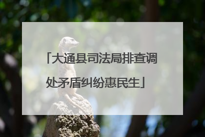 大通县司法局排查调处矛盾纠纷惠民生
