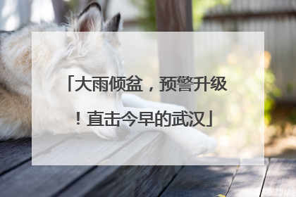 大雨倾盆，预警升级！直击今早的武汉
