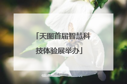天图首届智慧科技体验展举办