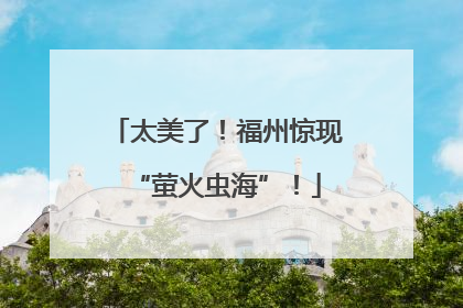太美了！福州惊现“萤火虫海”！