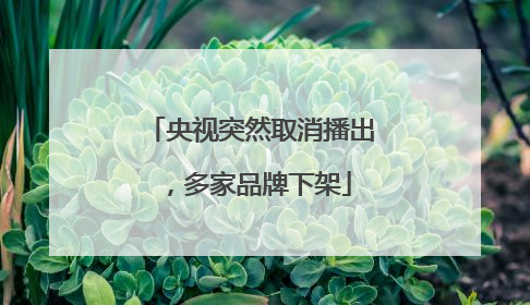 央视突然取消播出，多家品牌下架