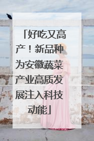 好吃又高产！新品种为安徽蔬菜产业高质发展注入科技动能