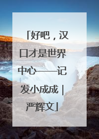 好吧，汉口才是世界中心——记发小成成｜严辉文
