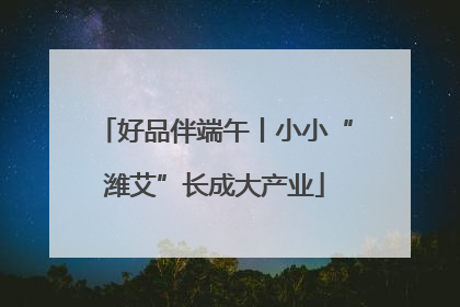 好品伴端午丨小小“潍艾”长成大产业
