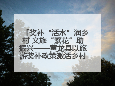 奖补“活水”润乡村 文旅“繁花”助振兴——黄龙县以旅游奖补政策激活乡村振兴新动能