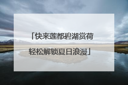 快来莲都碧湖赏荷 轻松解锁夏日浪漫