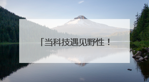 当科技遇见野性！鲁中科学教育节5月31日开幕 无人机表演+自然探索赛唤醒成长力量