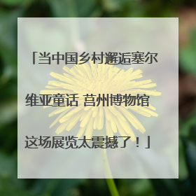 当中国乡村邂逅塞尔维亚童话 莒州博物馆这场展览太震撼了！