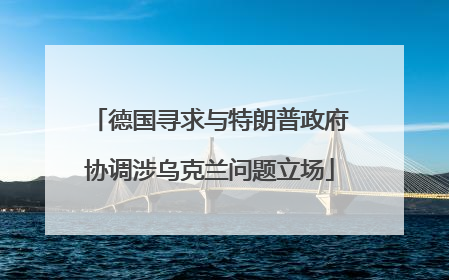 德国寻求与特朗普政府协调涉乌克兰问题立场