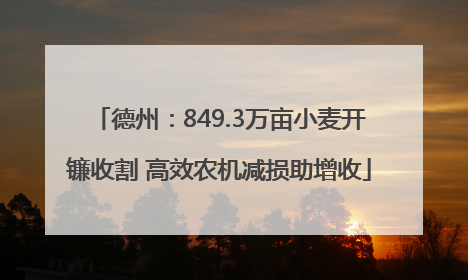 德州：849.3万亩小麦开镰收割 高效农机减损助增收