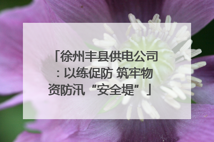 徐州丰县供电公司：以练促防 筑牢物资防汛“安全堤”