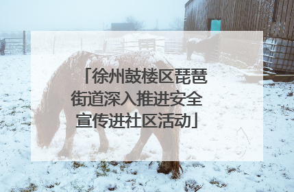 徐州鼓楼区琵琶街道深入推进安全宣传进社区活动