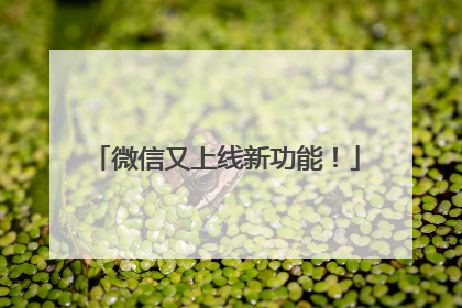 微信又上线新功能！