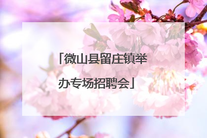 微山县留庄镇举办专场招聘会