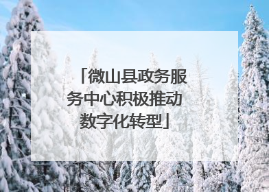 微山县政务服务中心积极推动数字化转型