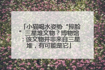 小猫喝水姿势“撞脸”三星堆文物？博物馆：该文物并非来自三星堆，有可能是它