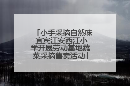 小手采摘自然味 宜宾江安西江小学开展劳动基地蔬菜采摘售卖活动