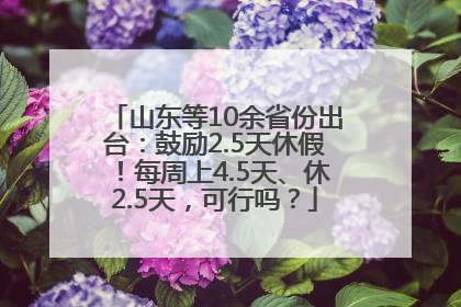 山东等10余省份出台：鼓励2.5天休假！每周上4.5天、休2.5天，可行吗？