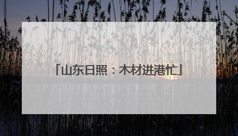 山东日照：木材进港忙