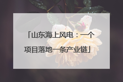 山东海上风电：一个项目落地一条产业链