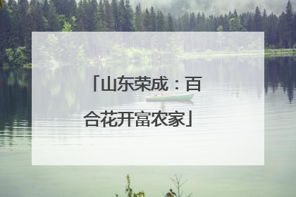 山东荣成：百合花开富农家