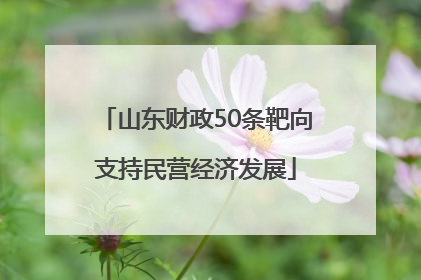 山东财政50条靶向支持民营经济发展