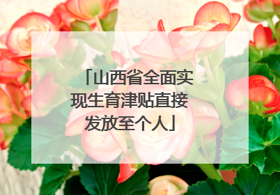 山西省全面实现生育津贴直接发放至个人