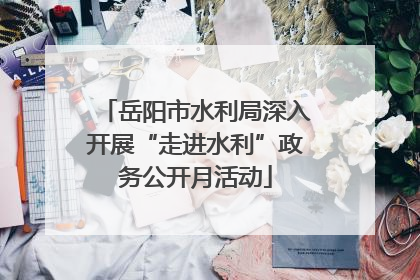 岳阳市水利局深入开展“走进水利”政务公开月活动