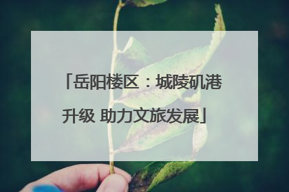 岳阳楼区：城陵矶港升级 助力文旅发展