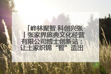 峰林聚智 科创兴张丨张家界旅典文化经营有限公司博士创新站：让土家织锦“智”造出非遗新传奇