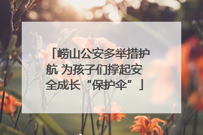 崂山公安多举措护航 为孩子们撑起安全成长“保护伞”