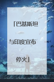 巴基斯坦与印度宣布停火