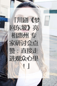 川剧《梦回东坡》亮相惠州 专家研讨会点赞：直接走进观众心里！