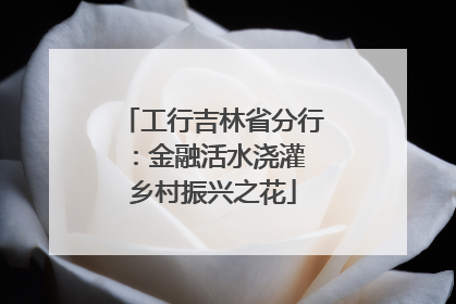 工行吉林省分行：金融活水浇灌 乡村振兴之花