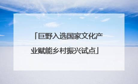 巨野入选国家文化产业赋能乡村振兴试点