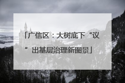 广信区：大树底下“议”出基层治理新图景