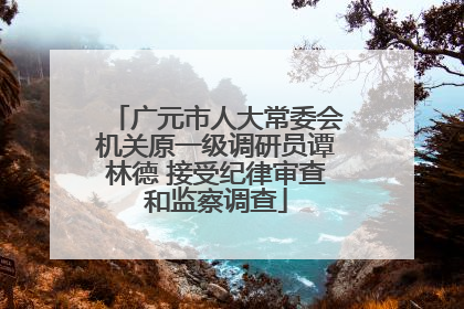 广元市人大常委会机关原一级调研员谭林德 接受纪律审查和监察调查