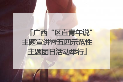 广西“区直青年说”主题宣讲暨五四示范性主题团日活动举行