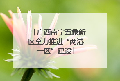 广西南宁五象新区全力推进“两港一区”建设