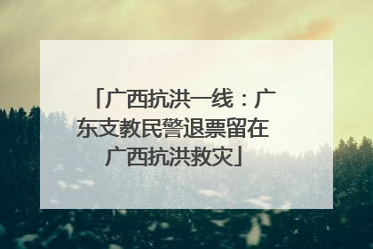 广西抗洪一线：广东支教民警退票留在广西抗洪救灾