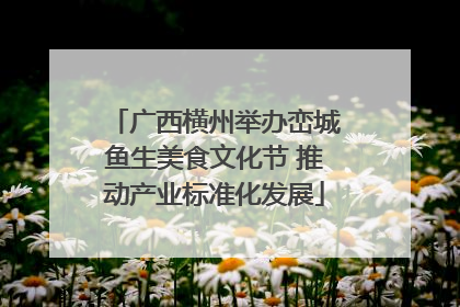广西横州举办峦城鱼生美食文化节 推动产业标准化发展