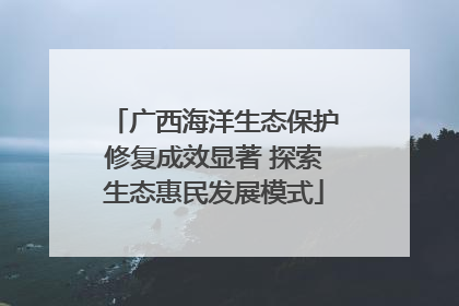 广西海洋生态保护修复成效显著 探索生态惠民发展模式