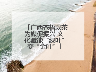广西苍梧以茶为媒促振兴 文化赋能“绿叶”变“金叶”