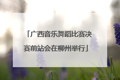 广西音乐舞蹈比赛决赛前站会在柳州举行