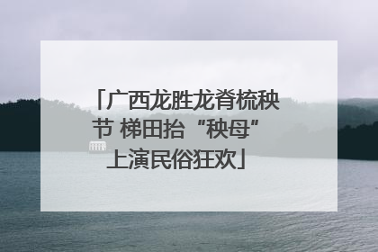 广西龙胜龙脊梳秧节 梯田抬“秧母”上演民俗狂欢