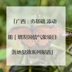 广西：夯基础 添动能｜增发国债气象项目落地见效系列报道
