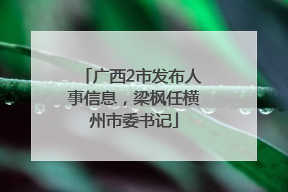 广西2市发布人事信息，梁枫任横州市委书记